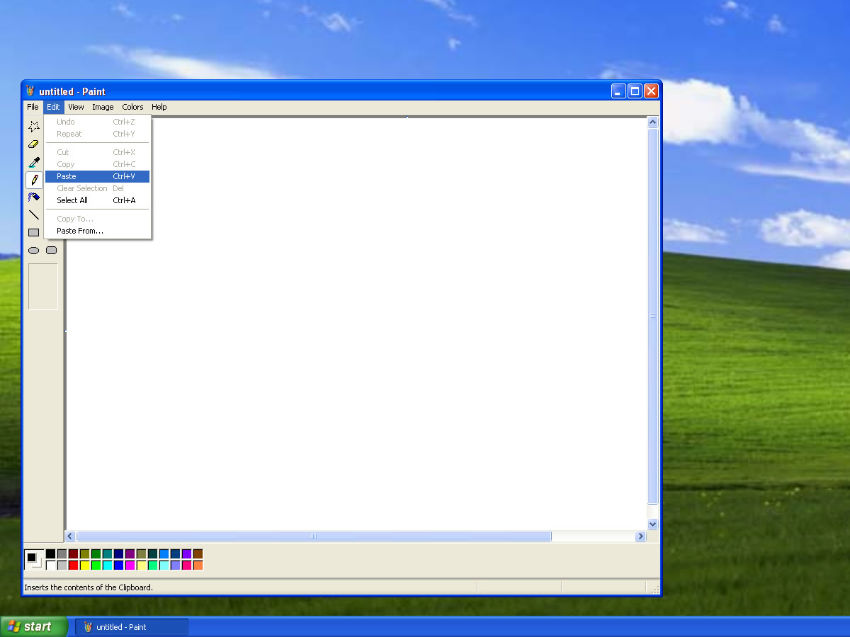 Mac OS X Windows XP taking desktop screenshots