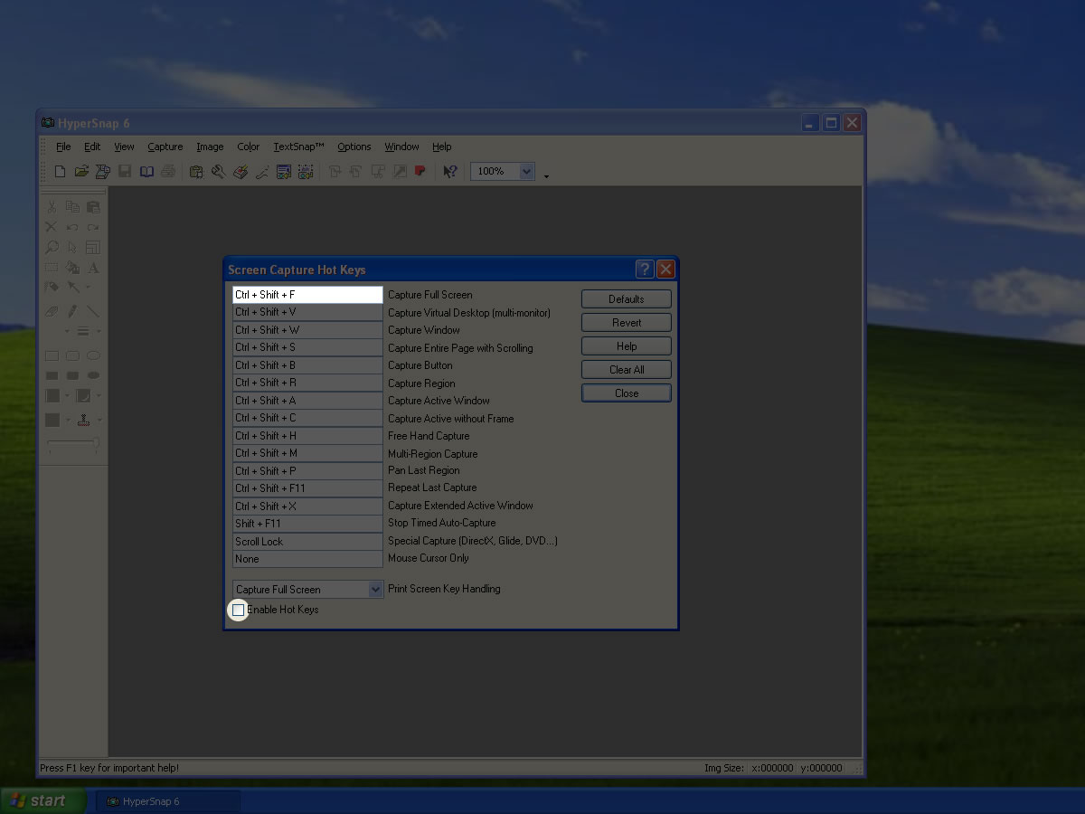 Mac OS X Windows XP taking desktop screenshots